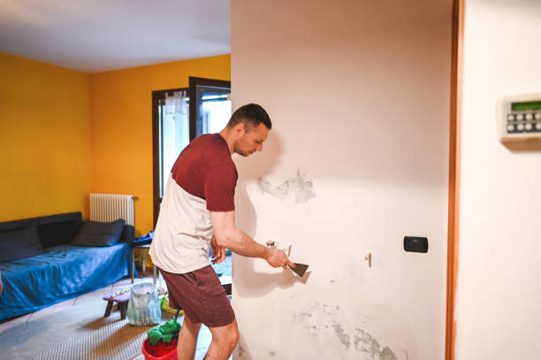 Best Emergency Mold Remediation in Lattingtown, NY